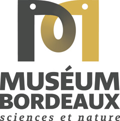 logo de la marque Museum de Bordeaux