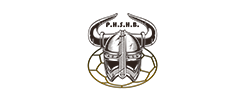 logo de la marque Peronne Haute Somme Handball